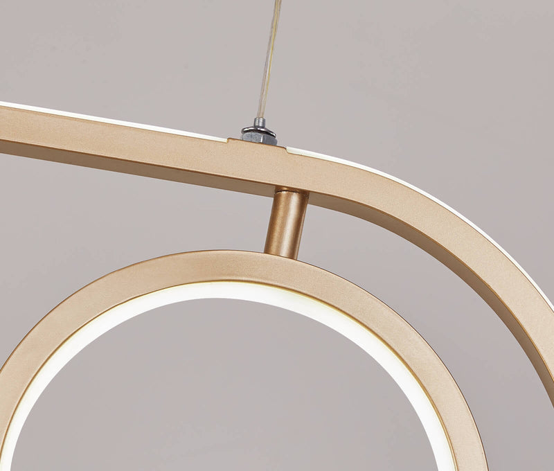 Modern Minimalist Golden Round Oval Iron LED Chandelier