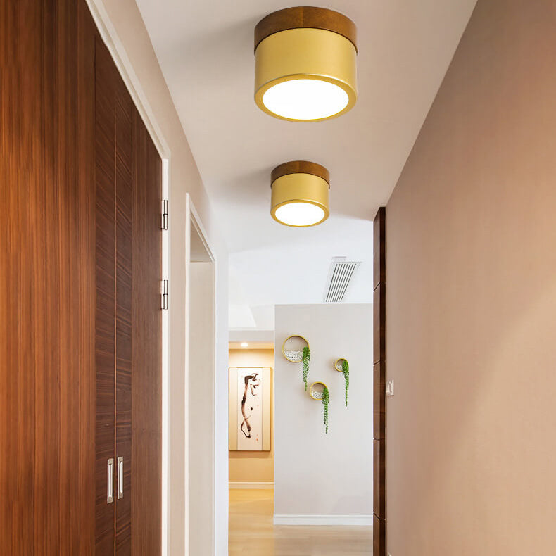 Nordic Golden Cylinder Downlight LED Flush Mount Ceiling Light