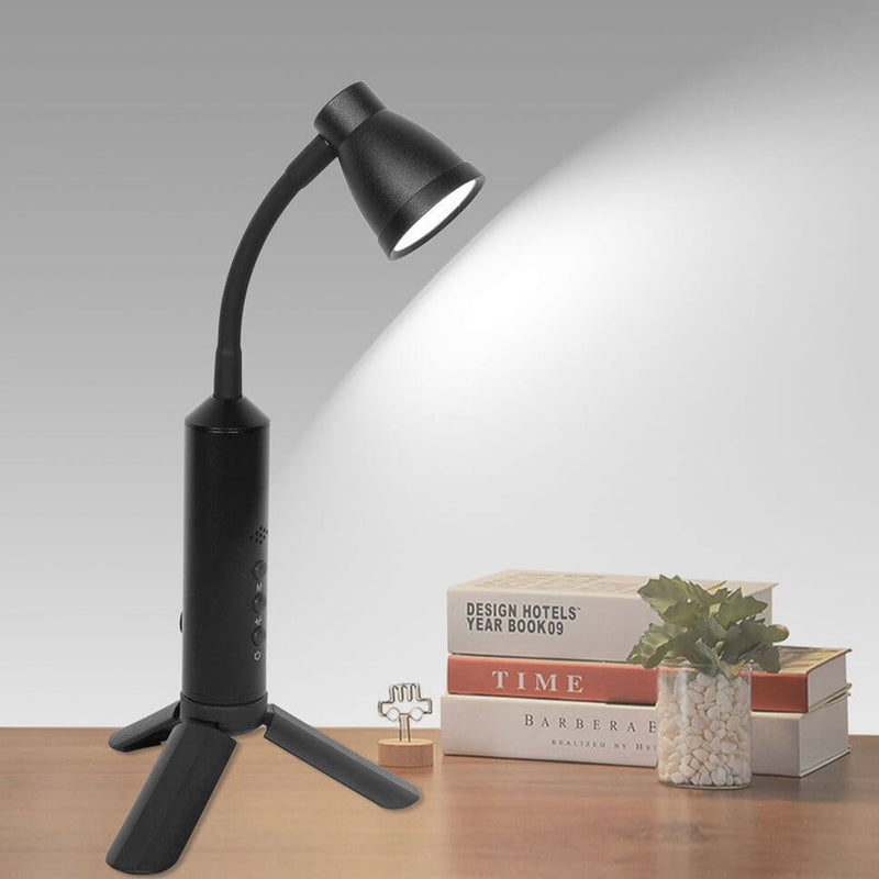 Moderne schwarze Metall-Typ-C LED tragbare Tischlampe 