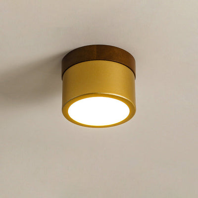 Nordic Golden Cylinder Downlight LED Flush Mount Ceiling Light