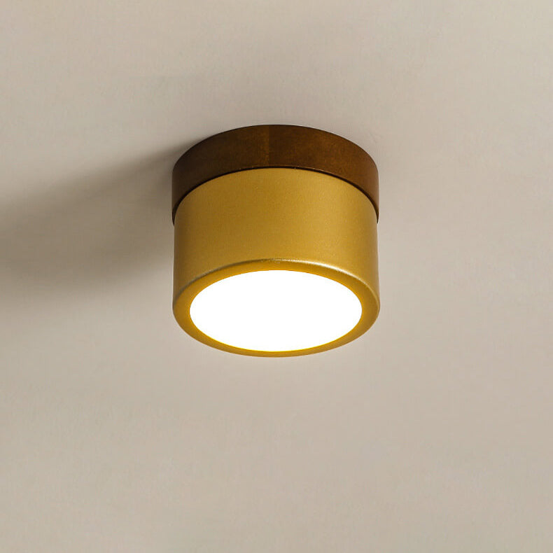 Nordic Golden Cylinder Downlight LED Flush Mount Ceiling Light