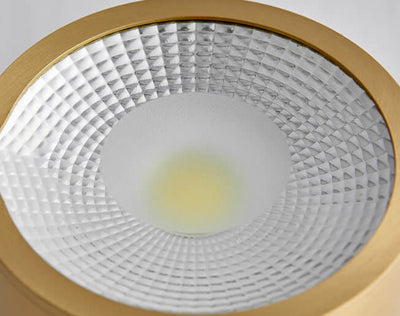 Modern Cylindrical Brass LED Spotlight Flush Mount Ceiling Light