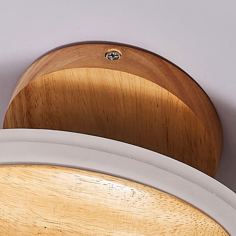 Modern Minimalist Log Oval LED Semi-Flush Mount Ceiling Light