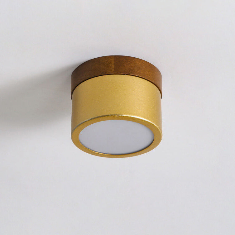 Nordic Golden Cylinder Downlight LED Flush Mount Ceiling Light