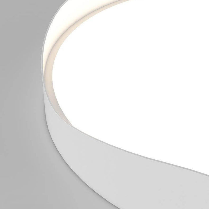 Modern Minimalist Round Curve Border Iron Acrylic LED Flush Mount Ceiling Light for Living Room