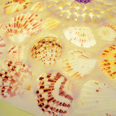 Europäische mediterrane Shell Art Runde LED-Deckenleuchte für bündige Montage 
