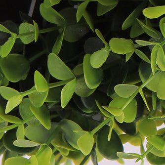 Kreative dekorative grüne Pflanzen-Unterputz-Deckenleuchte 