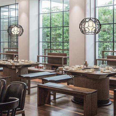Moderne créatif fer forgé 1-lumière suspension 