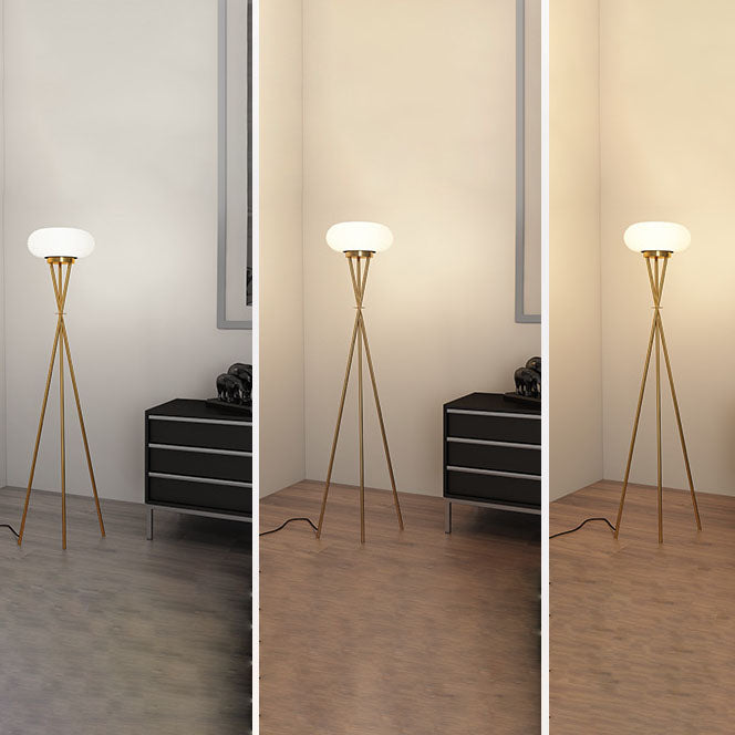 Lámpara de pie LED de hierro acrílico con trípode redondo minimalista moderno para sala de estar 