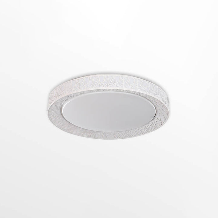 Modern Creative Round Bird&