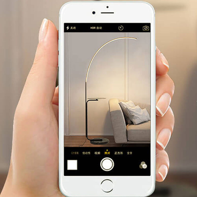 Nordic Minimalist Line Bending with Tray LED Standing Floor Lamp