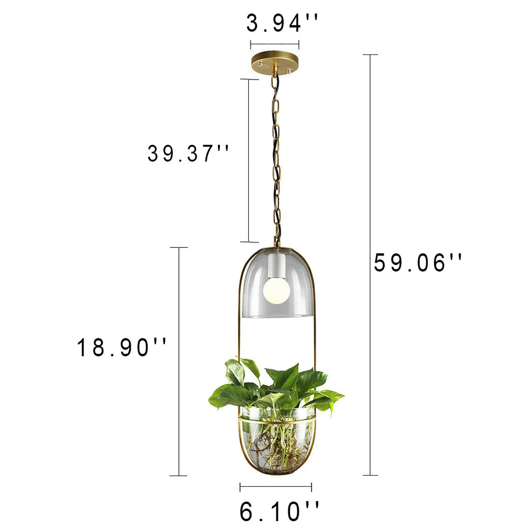 Modern Art Deco Glass Lampshade Creative Plant Hydroponic Hanging Basket 1-Light Pendant Light