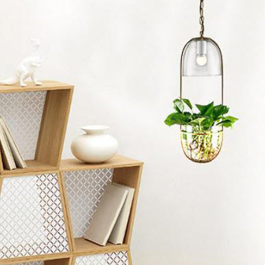 Modern Art Deco Glass Lampshade Creative Plant Hydroponic Hanging Basket 1-Light Pendant Light