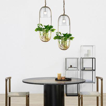 Modern Art Deco Glass Lampshade Creative Plant Hydroponic Hanging Basket 1-Light Pendant Light