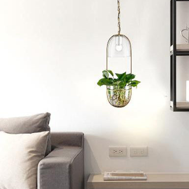 Modern Art Deco Glass Lampshade Creative Plant Hydroponic Hanging Basket 1-Light Pendant Light
