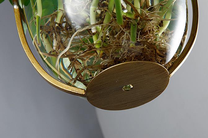 مصباح زجاجي حديث على طراز الآرت ديكو معلق بتصميم إبداعي لنباتات مائية 1-ضوء 