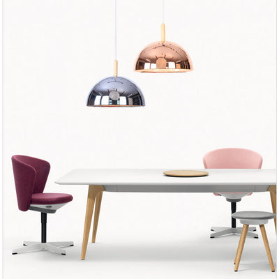 Nordic Simple Iron Dome Wood 1-Light Pendelleuchte