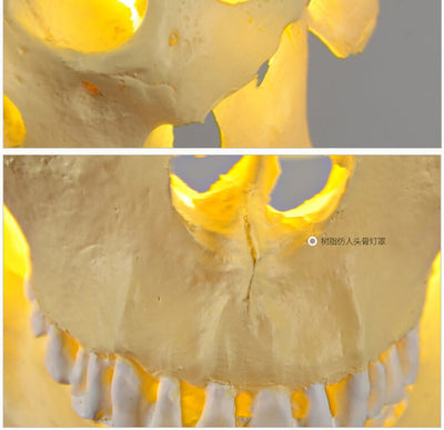 Skull Resin Shade 1-Licht-Pendelleuchte 