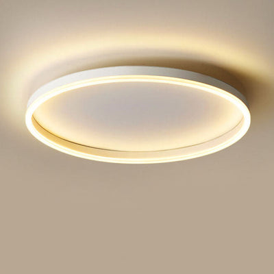 Nordic Minimalist Circle Ring Iron Acrylic LED Flush Mount Ceiling Light