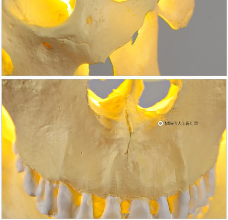 Skull Resin Shade 1-Light Pendant Light