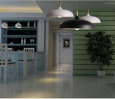Wrought Iron Pot Lid 1-Light Adjustable Length Dome Pendant Light