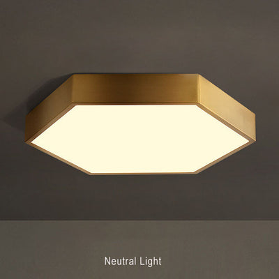 Simple Hexagonal 1-Light LED Flush Mount Lighting