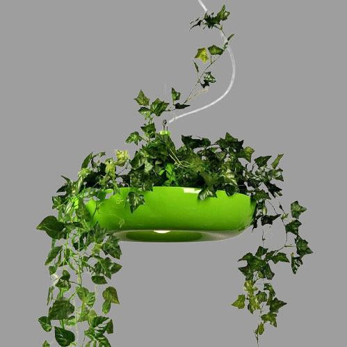 Moderne Créatif Rafraîchissant Cercle Plante Suspension Luminaire à 1 Lumière 