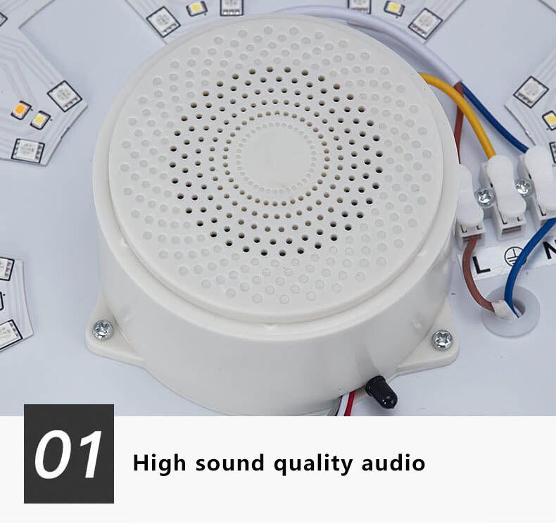 Smart Dimmable LED Remote Control Bluetooth Music Speaker Flush Mount Ceiling Light