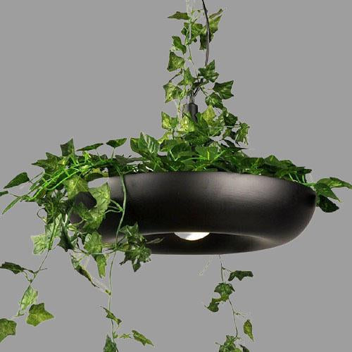 Moderne Créatif Rafraîchissant Cercle Plante Suspension Luminaire à 1 Lumière 