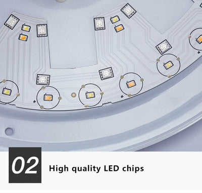 Smart Dimmable LED Remote Control Bluetooth Music Speaker Flush Mount Ceiling Light