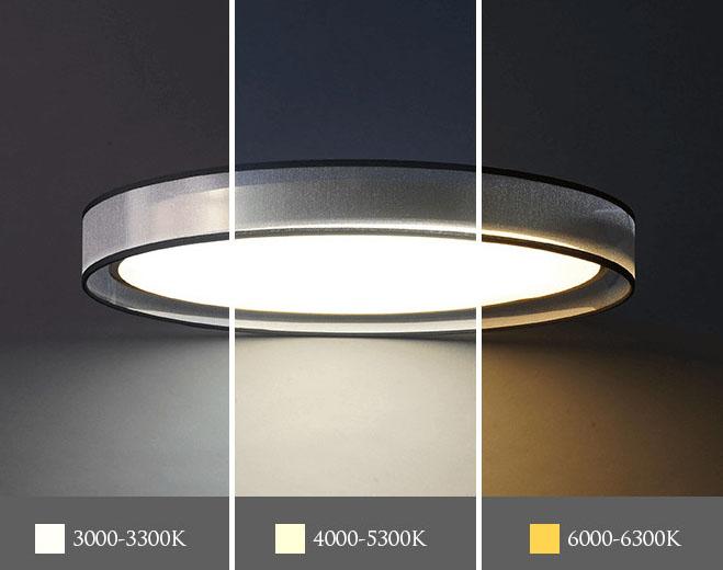 Modern Simplicity Round Thin 1-Light LED Flush Mount Ceiling Light