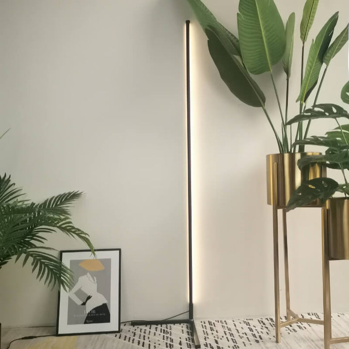 2_720x.jpg?v=1739616504