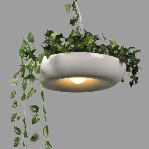 Moderne Créatif Rafraîchissant Cercle Plante Suspension Luminaire à 1 Lumière 