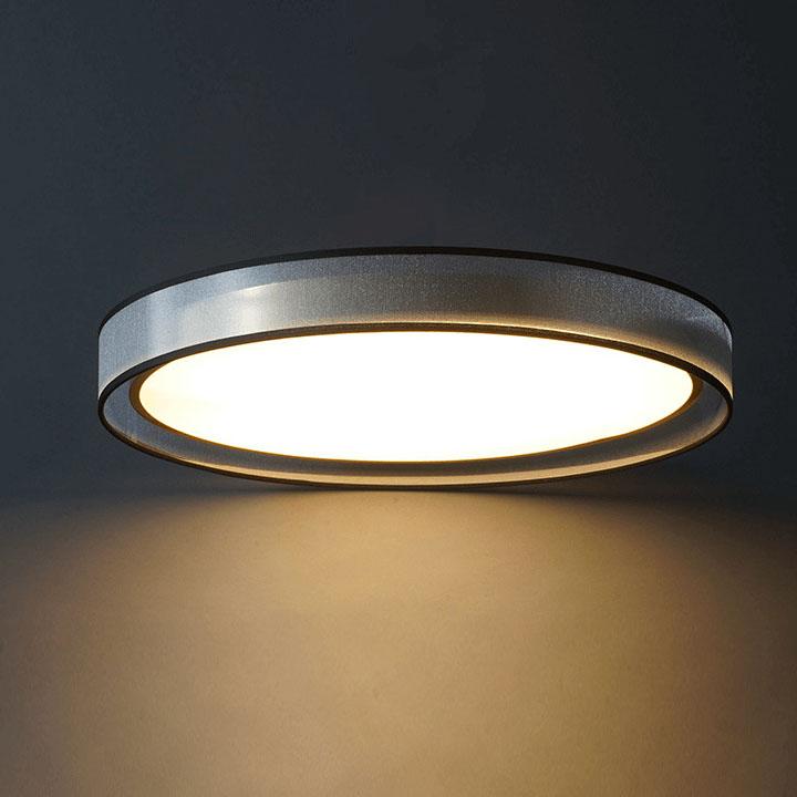 Modern Simplicity Round Thin 1-Light LED Flush Mount Ceiling Light