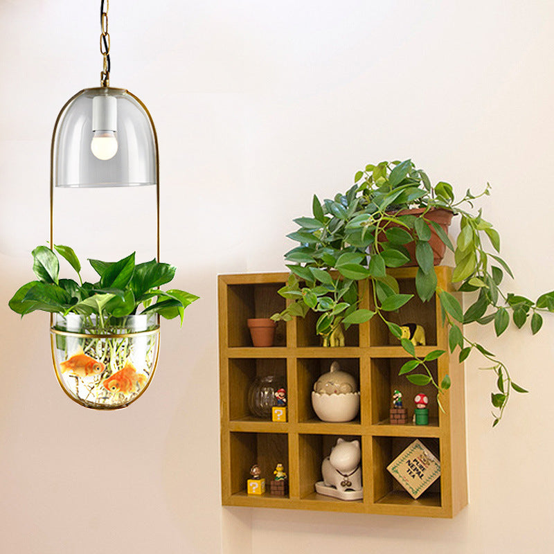 glass bulb hanging planter Modern Art Deco Glass Lampshade Creative Plant Hydroponic Hanging Bask – BulbSquare