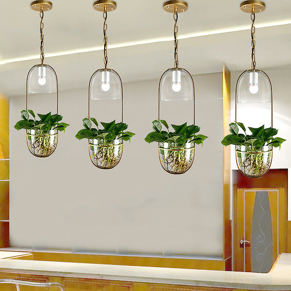 art deco hanging planter Modern Art Deco Glass Lampshade Creative Plant Hydroponic Hanging Basket 1-Light Pendant Light