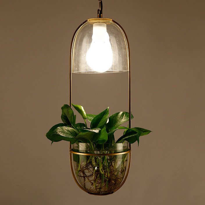 Modern Art Deco Glass Lampshade Creative Plant Hydroponic Hanging Basket 1-Light Pendant Light