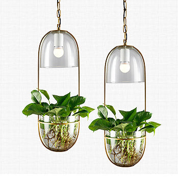 Modern Art Deco Glass Lampshade Creative Plant Hydroponic Hanging Basket 1-Light Pendant Light