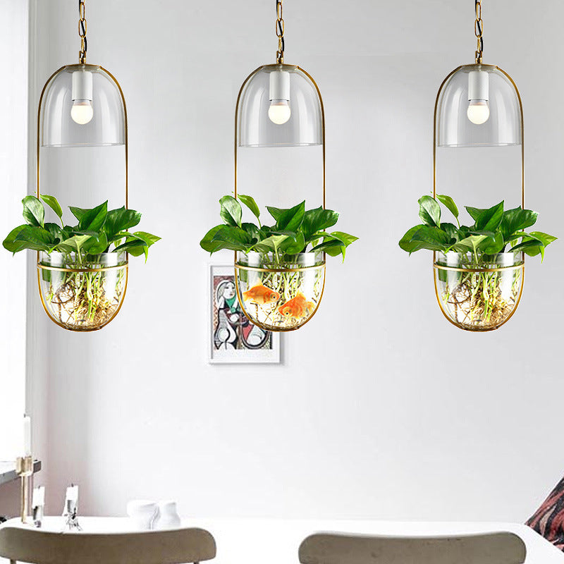 hanging plant light pendant Modern Art Deco Glass Lampshade Creative Plant Hydroponic Hanging Basket 1-Light Pendant Light