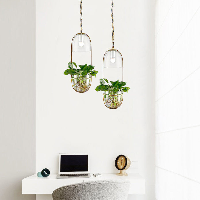 Modern Art Deco Glass Lampshade Creative Plant Hydroponic Hanging Basket 1-Light Pendant Light