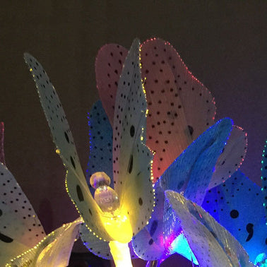 Solar Butterfly 12/20 Lights LED Outdoor Waterproof String Lights