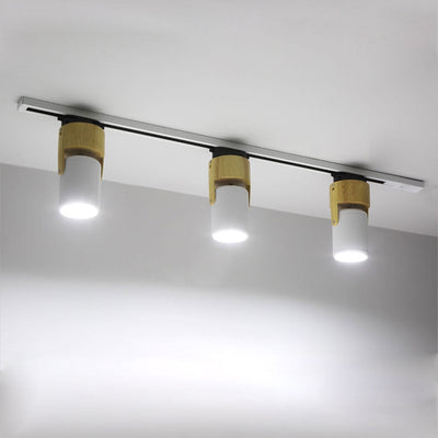 Nordic Minimalist Track Spotlight 1/3 Light Flush Mount Light