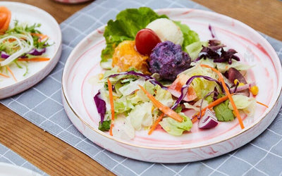 Nordic Colorful Porcelain Salad and Dessert Plate