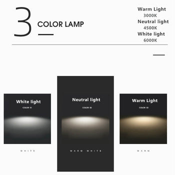Minimalist Black and White Round LED Flush Mount Ceiling Light