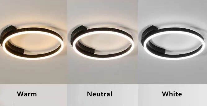 Modern Minimalist Round 1-Light LED Flush Mount Ceiling Light