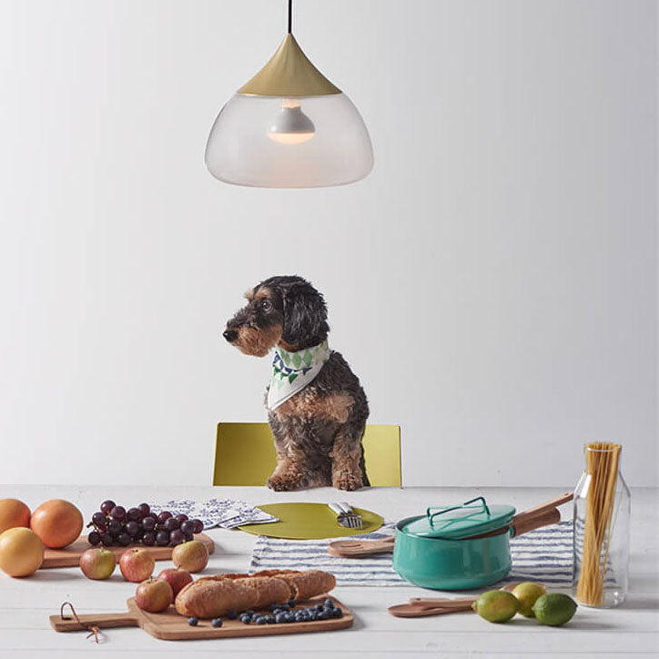 Modern Creative Glass Waterdrop Shape 1-Light Pendant Light