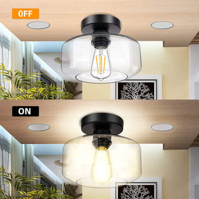 Clear Glass 1-Light Dome Semi-Flush Mount Lighting