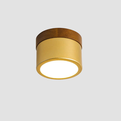 Nordic Golden Cylinder Downlight LED Flush Mount Ceiling Light