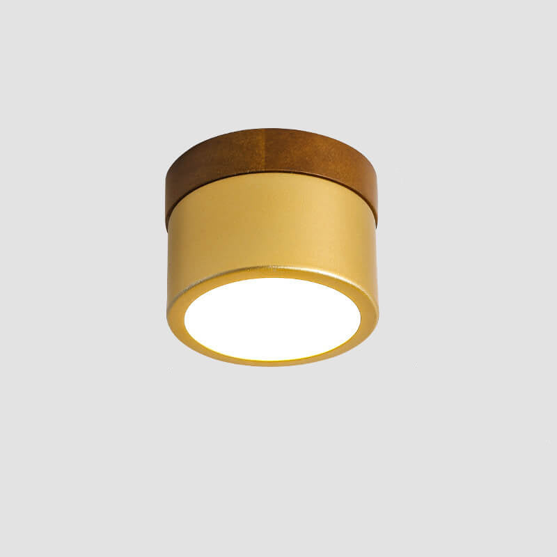 Nordic Golden Cylinder Downlight LED Flush Mount Ceiling Light