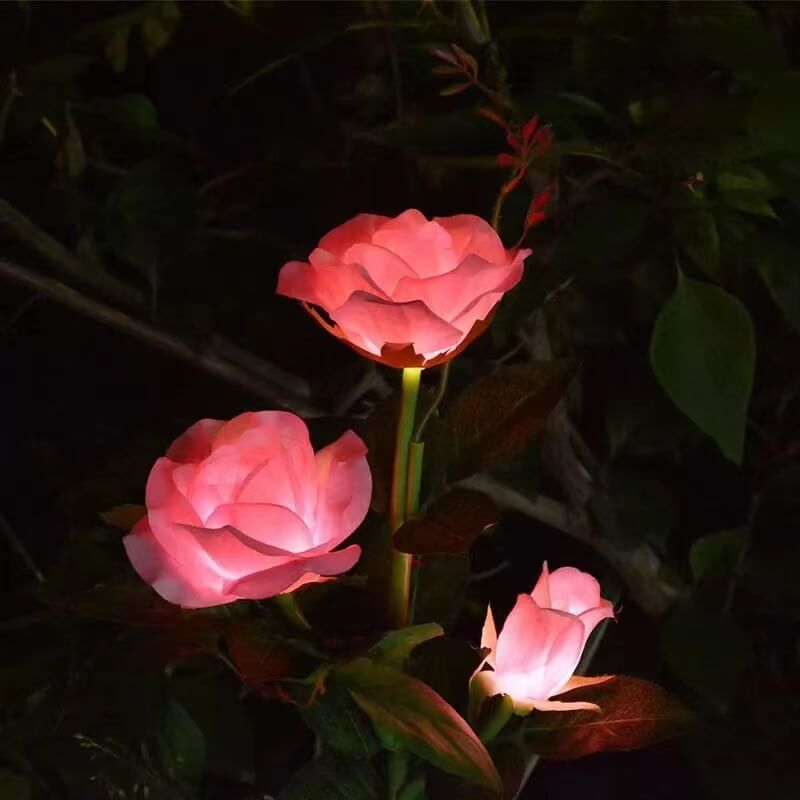 أضواء حديقة LED حديثة تعمل بالطاقة الشمسية لإضاءة الأرضية الخارجية 